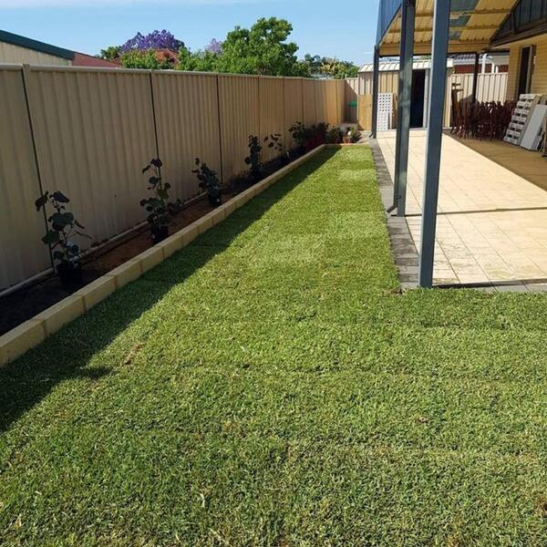 image of Backyard Transformation